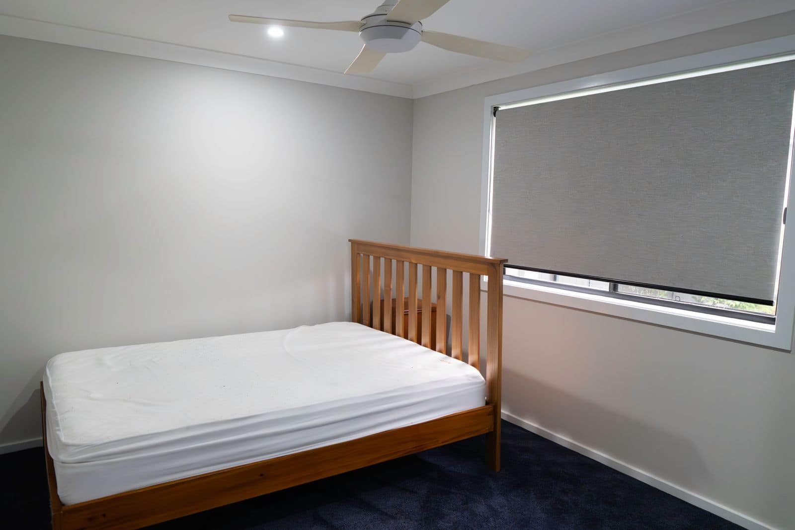 WhatsApp Image 2024-11-04 at 18.56.31_0825d8c3